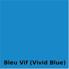 HotMark Revolution Or (Gold) (50cm x 5m)